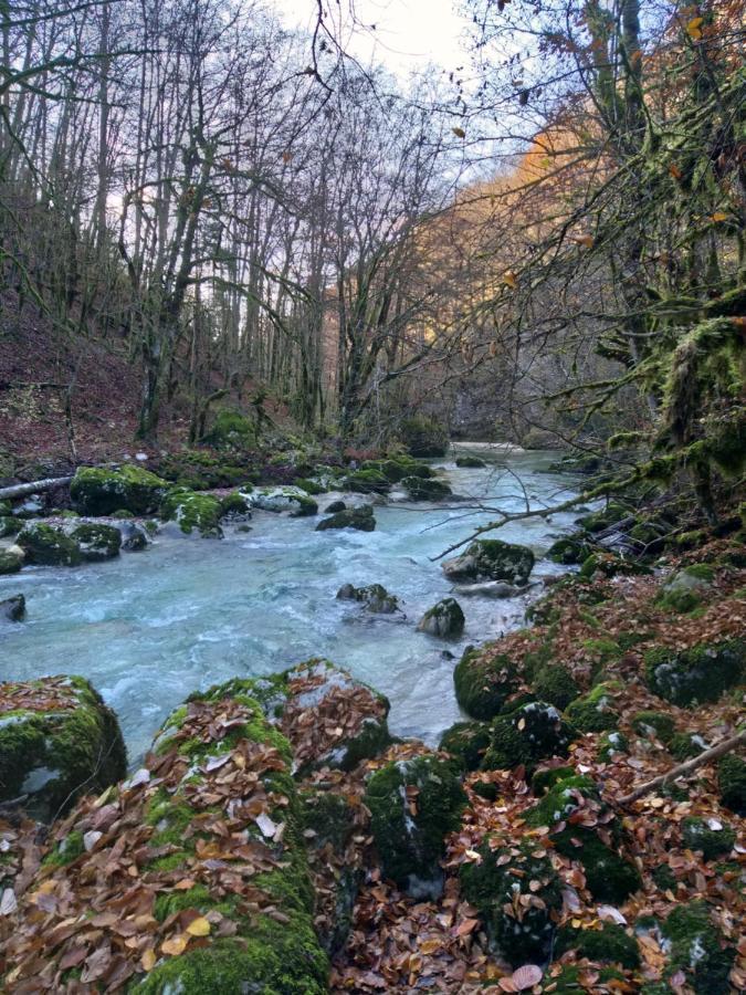Le Manant Daire Bellegarde-sur-Valserine Dış mekan fotoğraf